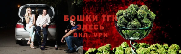 PSILOCYBIN Алзамай