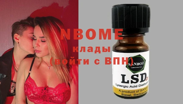 PSILOCYBIN Алзамай