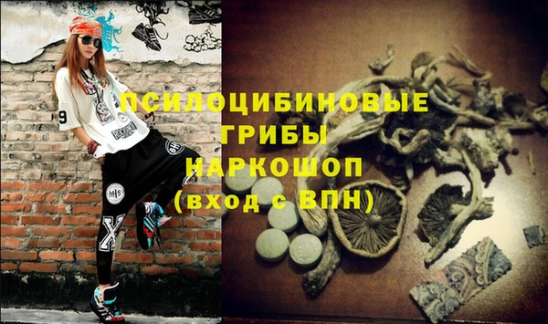 PSILOCYBIN Алзамай