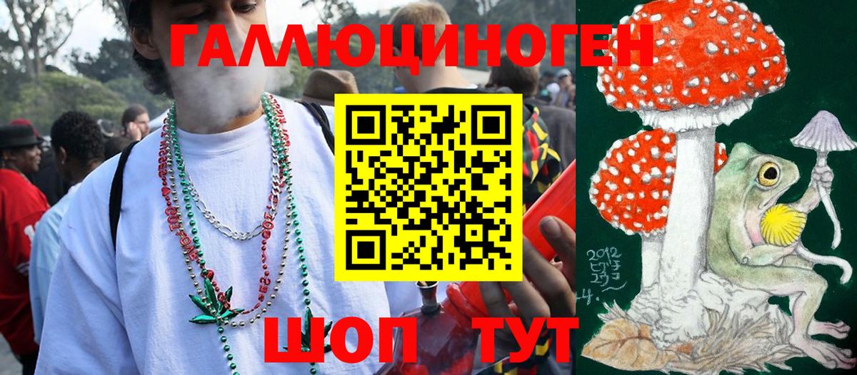 Кингисепп  Псилоцибиновые грибы MAGIC MUSHROOMS  Вход с VPN 