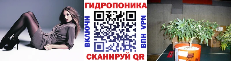 закладки  Кингисепп  МАРИХУАНА Ganja 